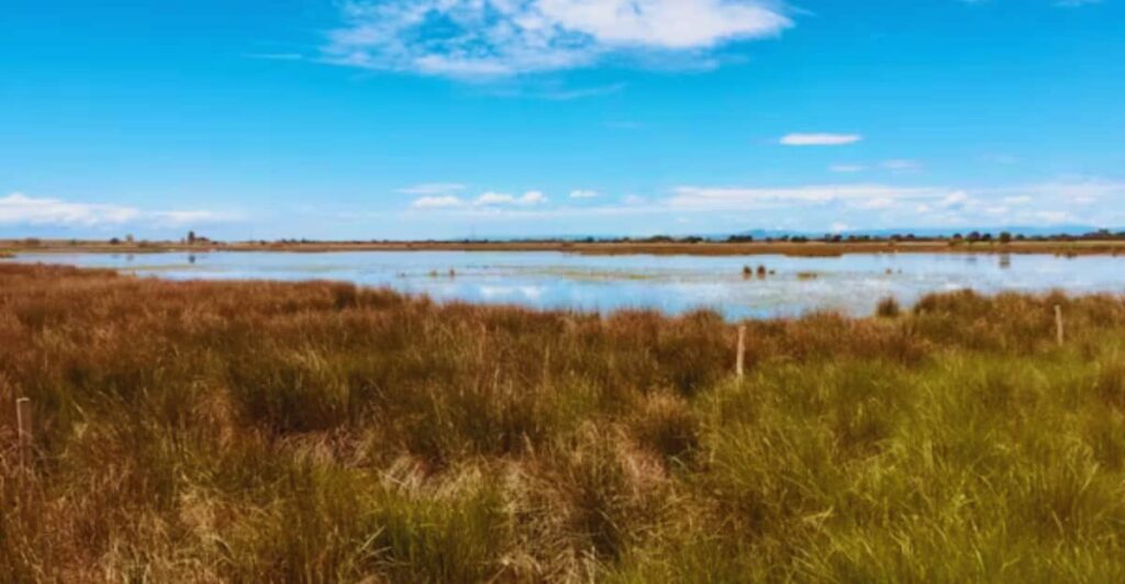 Camargue- Important Wetlands in the World