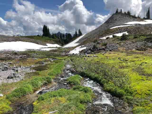 Mount Rainier National Park, Washington