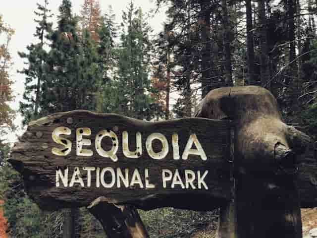 Sequoia National Park, California